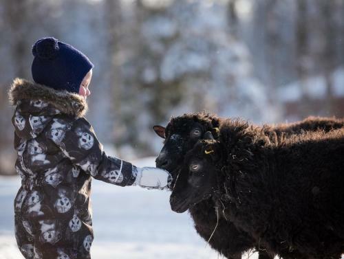 Agroturismo Maatilamatkailu Ilom�ki