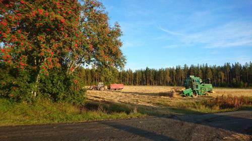 Agroturismo Maatilamatkailu Ilom�ki