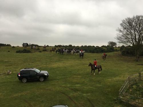 Bed & Breakfast The Curragh Country House Accommodation