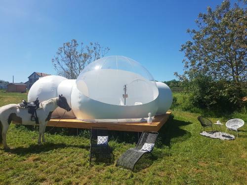 Agroturismo La Noalha Insolit'