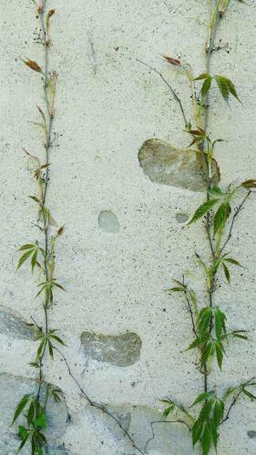 Le G�te Des Mille Etangs