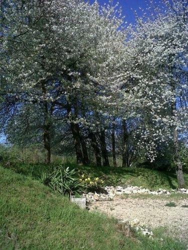 Hostal Chambre D H�tes Domaine Des Patrus