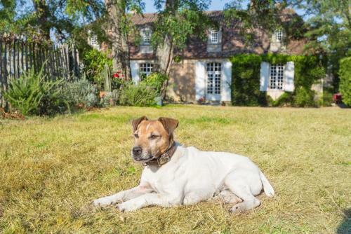 Liorac-sur-louyre Villa Sleeps 11 Pool Wifi