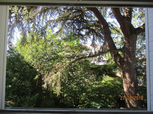 Apartamento Appart 52m2 T2 !