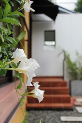 Villa Escondite