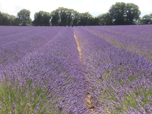 Bed & Breakfast Le S�minaire