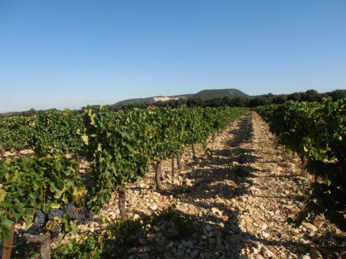 Bed & Breakfast Le S�minaire