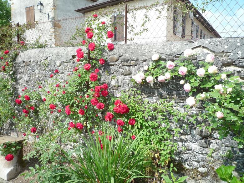Bearn Bed & Breakfast