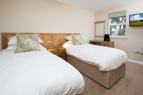 Hostal Brown Rigg Guest Rooms
