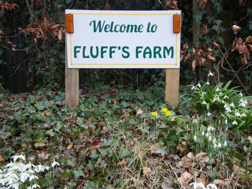 Beautiful Cotswold View (formally Higher Cotswold View - Fluffs Farm)