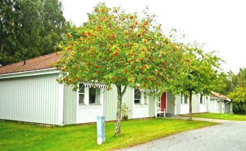 Albergue Nordiska Folkh�gskolan Bed And Breakfast