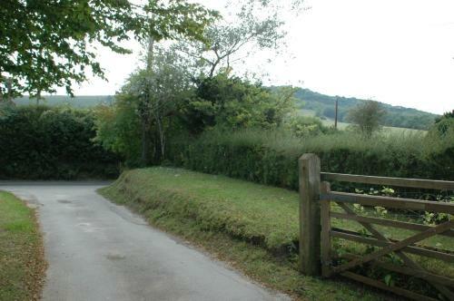 Cowslip