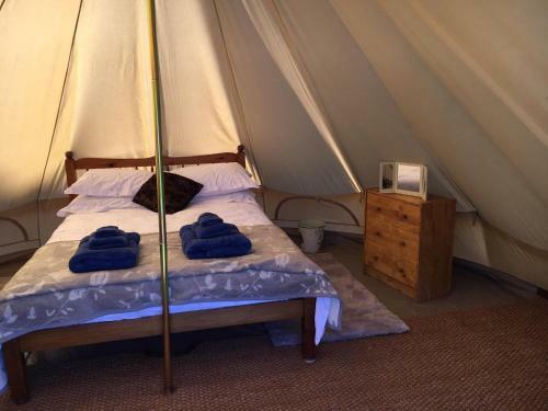 Bell Tent - Upper View