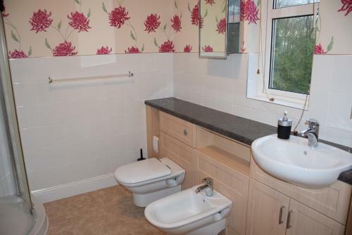 Bed & Breakfast Holywell House B & B