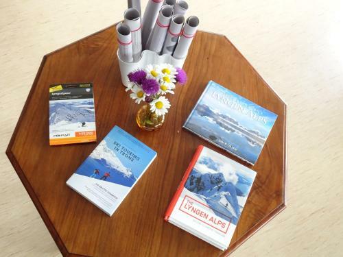 Magic Mountain Lodge - Lyngen
