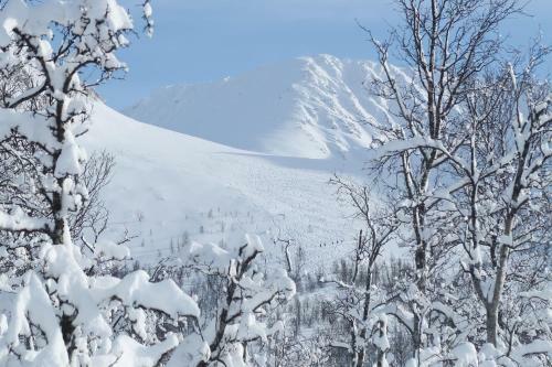 Magic Mountain Lodge - Lyngen