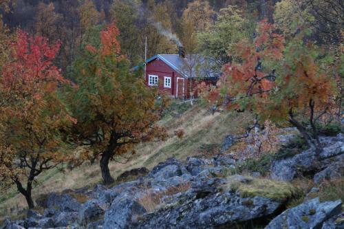 Magic Mountain Lodge - Lyngen