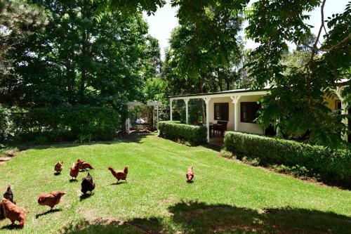 Bed & Breakfast Crystal Creek Meadows