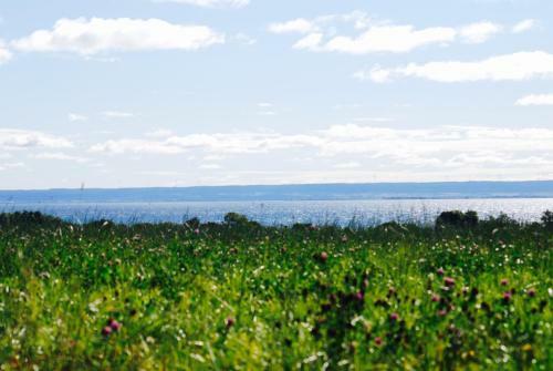 Bed & Breakfast Krokstorps G�rd