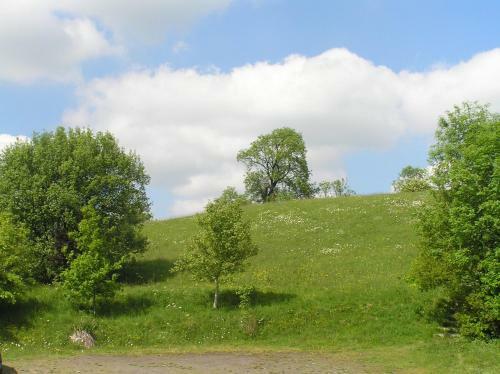 Glamping On The Hill