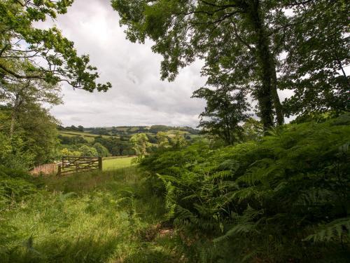 Boycombe Barn, Farway