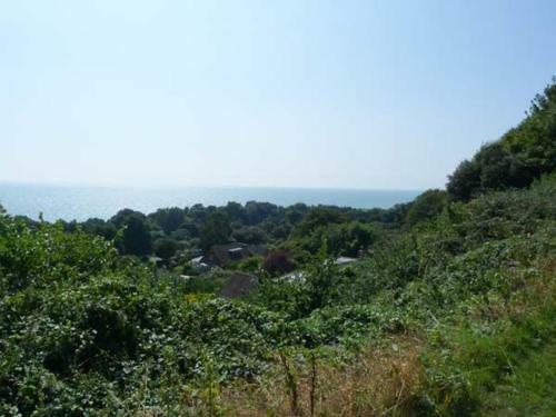 Jack's Hill