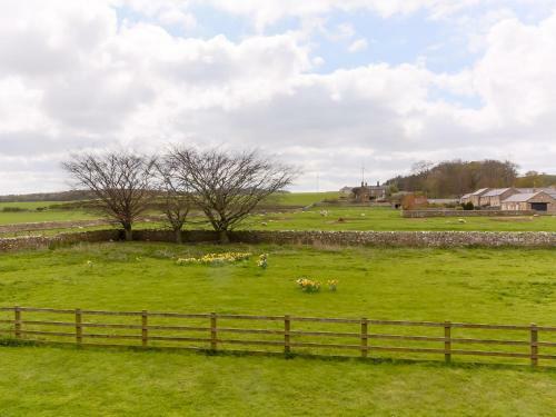 The Reading Rooms, Chathill