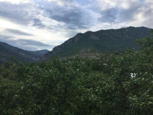 Hostal Guesthouse Mountains