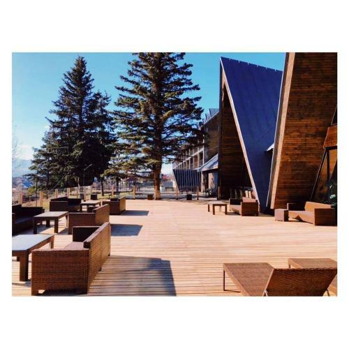 Hotel Panorama Mgzavrebi In Bakuriani #27