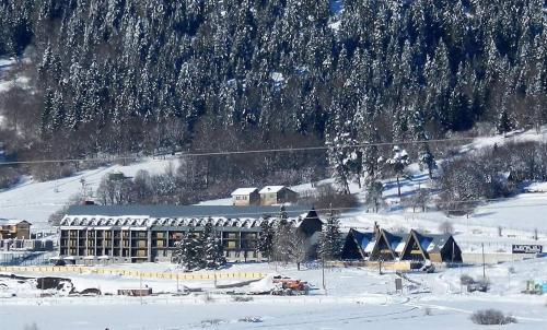 Hotel Panorama Mgzavrebi In Bakuriani #27