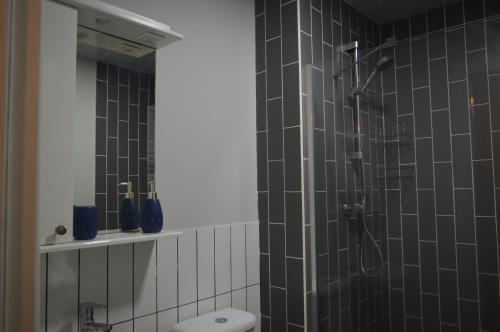 Alp�strine - Vista Gudauri - Apartment N27