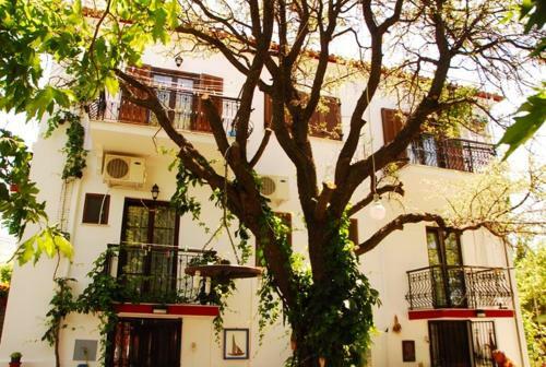 Hostal Atzanou Rooms