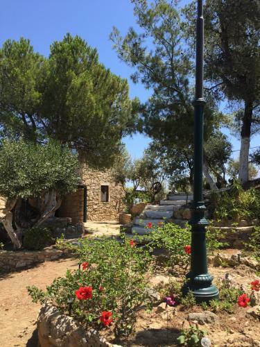 Apartamento Castle Vigla