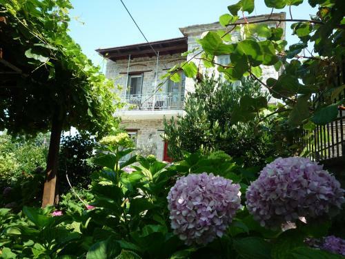 Hostal Arhontiko Prepala