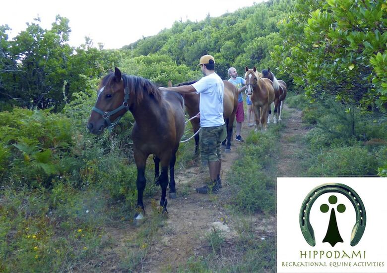 Bed & Breakfast Arxontiko Mytilineou - Skretaion