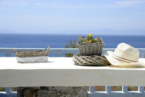 Hostal The Big Blue