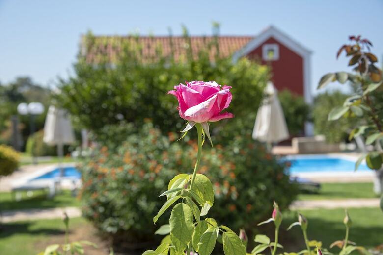 Hostal Athousakis Village