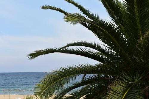 Marinis Boutique Aparthotel