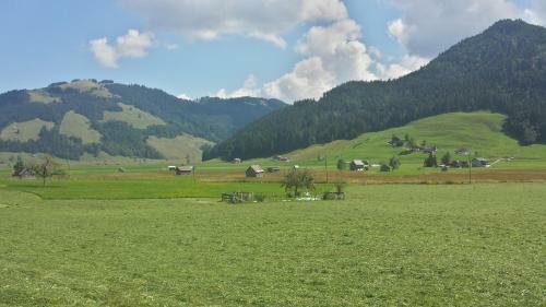 Hotel Ybrigerhof