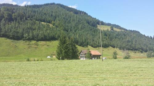 Hotel Ybrigerhof