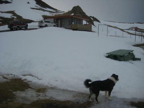 �sbrandsstadir Cottage