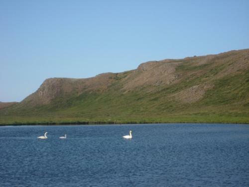 �sbrandsstadir Cottage