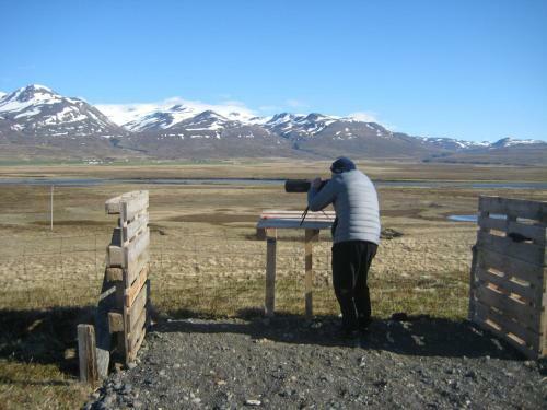 �sbrandsstadir Cottage