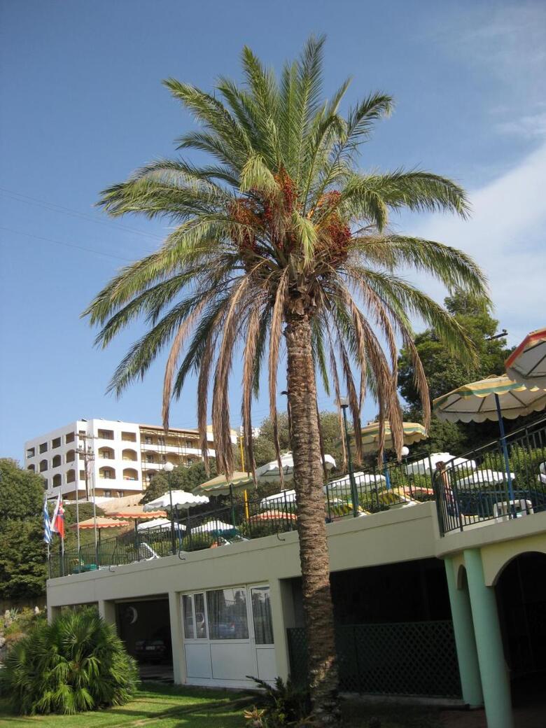 Hotel Romantza Mare