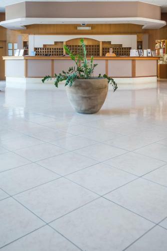 Hotel Princess Flora