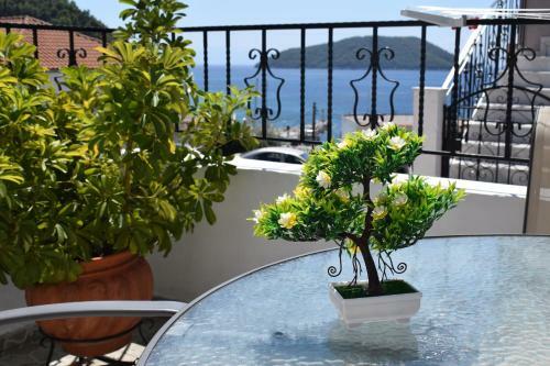 Apartamento Mariren