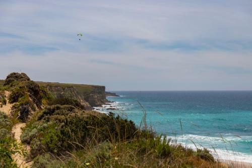 Campimeco By Campigir