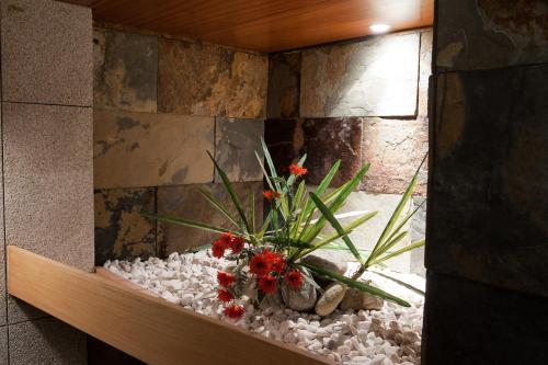 Mondim Hotel & Spa