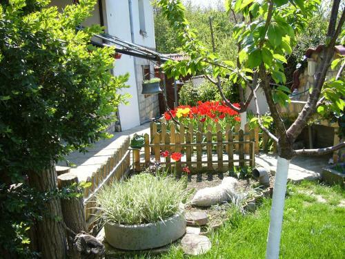 Hostal Guest House Petrova