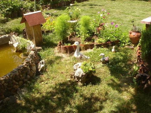 Hostal Guest House Petrova